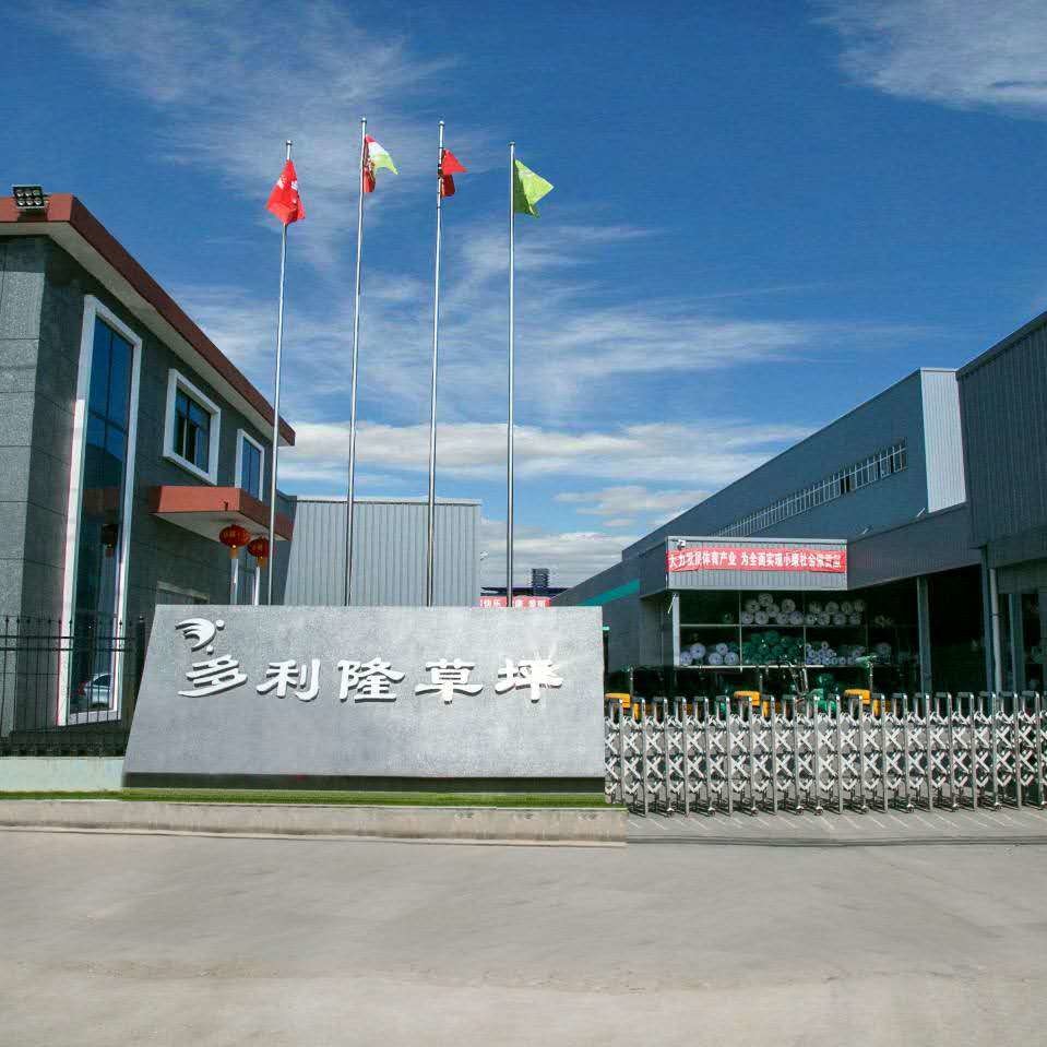 中国 Dorelom artificial grass group co,ltd. 会社概要