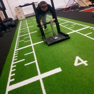 高密度 オーダーメイド ロゴ サイズ ジム アクセサリー PE ジム スポーツ用 人工草床マット
