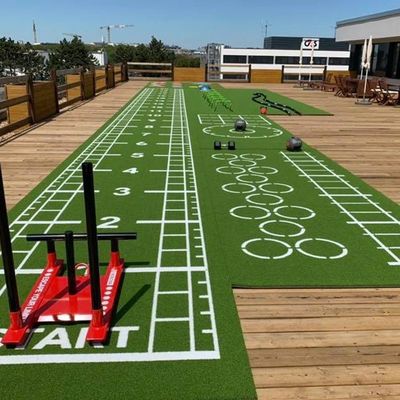 高密度 オーダーメイド ロゴ サイズ ジム アクセサリー PE ジム スポーツ用 人工草床マット