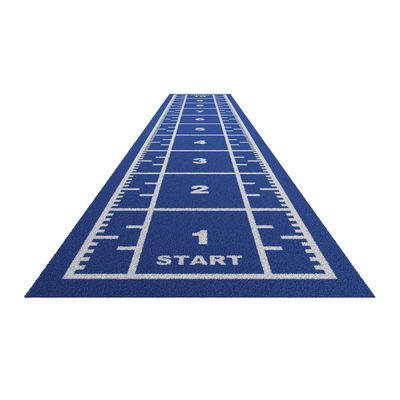 オーダーメイドジム フィットネス スレード グラフのための CE と ISO 認証の赤い人工草の床