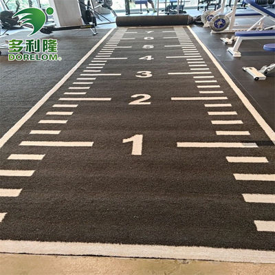 ドレローム ターフ PE 3/16 インチ 尺寸 室内 人工草地 健身房 訓練