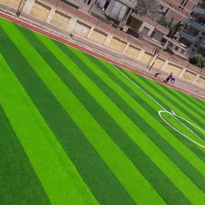 サッカー場 W 形 二色 紫外線耐性 PE モノフィラメント 人工草草
