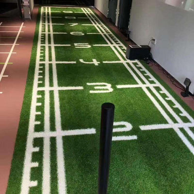 スポーツ その他 ゴルフ用人工芝 ゴルフ用サッカーの場 運動会 芝 合成芝