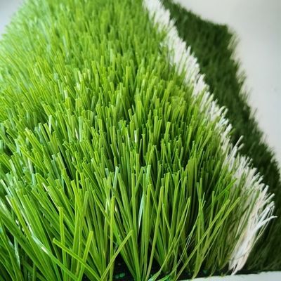 紫外線安定 PE 50mm 高さ5面 サッカー サッカー 草 S C形 フットサル 芝生