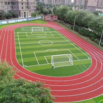 紫外線安定 PE 50mm 高さ5面 サッカー サッカー 草 S C形 フットサル 芝生