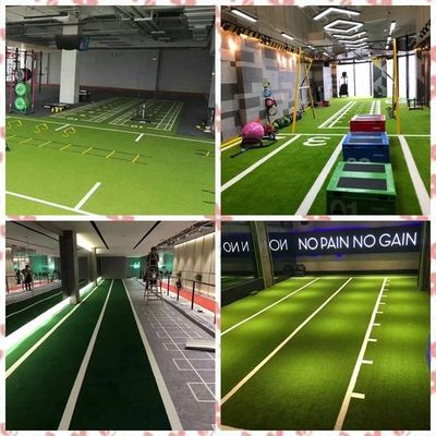 スポーツ 床 健身 スケール 訓練 gym の 人工 芝生