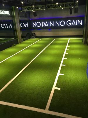 スポーツ 床 健身 スケール 訓練 gym の 人工 芝生