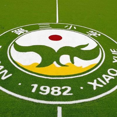 PE PP 裏付け 人工草 ロゴ 色 パターン 人工芝生 ミニサッカーカーペット